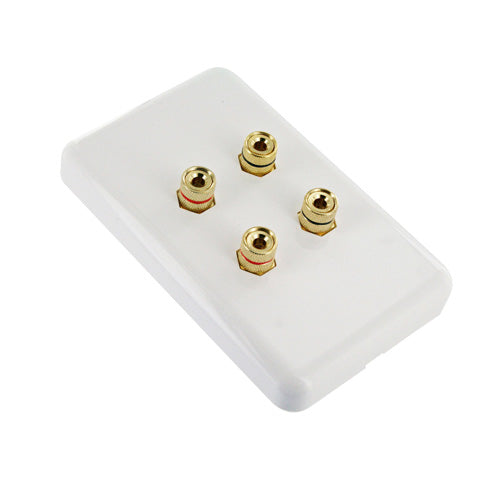 Speaker Cable Wall Plate Wallplate for 2 Speakers