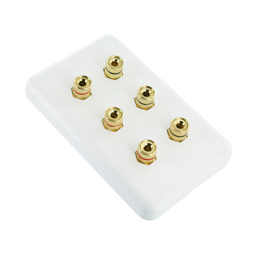 Speaker Cable Wall Plate Wallplate for 3 Speakers