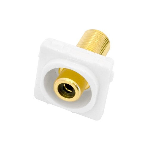 Black RCA - F-Type Plug Connector suits White Clipsal Wall Plate